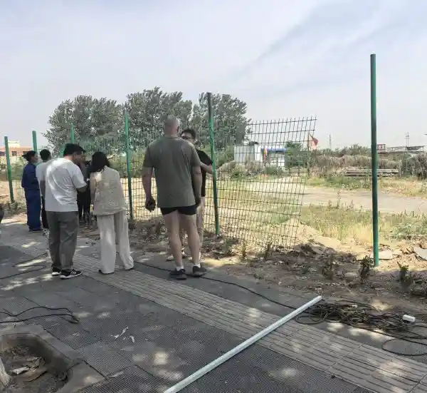 FRP fence posts installed for agricultural field fencing