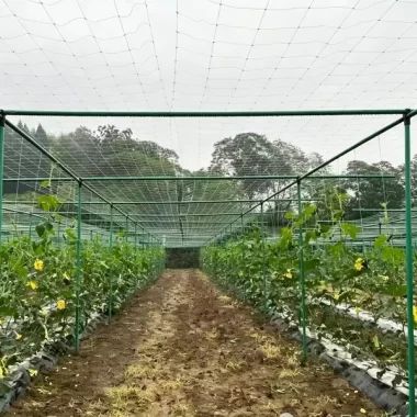 Poteaux de clôture en fibre de verre
